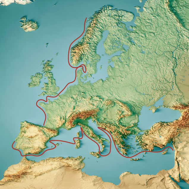 Summer voyage & winter escape